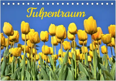 Produktbild von Tulpentraum (Tischkalender 2025 DIN A5 quer), CALVENDO Monatskalender