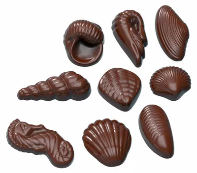 Productafbeelding van Chocoladevorm - Zeevruchten, 9 stuks.