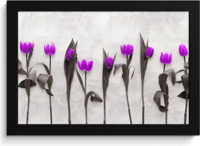 Produktbild von MuchoWow® MuchoWow® Gerahmtes Poster Blumen - Tulpen - Lila 30x20 cm - Poster mit zchwarzem Bilderrahmen - Kunstdruck - Bild-Poster