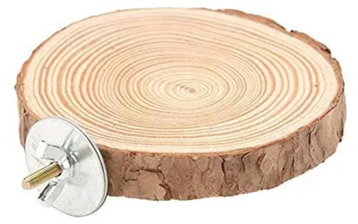 Immagine prodotto di Piattaforma in legno naturale per uccelli, 10 cm