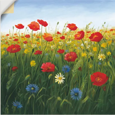Produktbild von ARTland Wandbild, selbstklebend Mohnblumen Landschaft I Größe: 70x70 cm