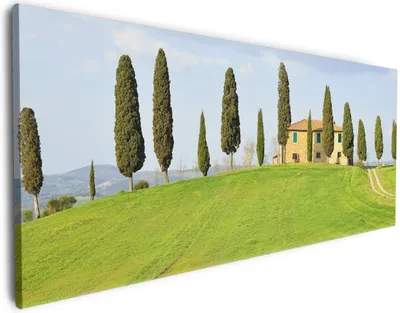 Produktbild von Wallario Premium Leinwandbild Villa auf einem Hügel in der Toskana in Größe 80 x 200 cm