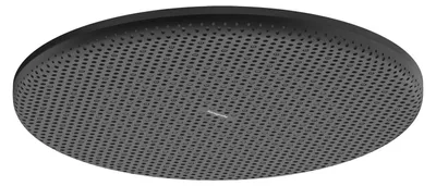Zdjęcie produktu dla hansgrohe Raindance Alive S Głowica prysznicowa 300 1-strumieniowa EcoSmart, 24521670