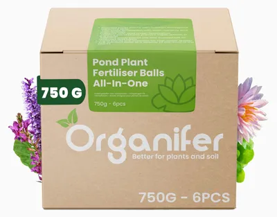 Productafbeelding van Voedingsbollen voor Vijverplanten - Set van 6