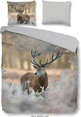 Produktbild von good morning Flanell Bettwäsche 2 teilig Bettbezug 140 x 220 cm Kopfkissenbezug 60 x 70 cm Michel 2568.99.01 Multi