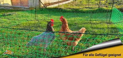 Produktbild von 125cm Geflügelnetz 30 Meter Hühnerzaun Geflügelzaun Hühner Geflügel Zaun Netz ohne Strom