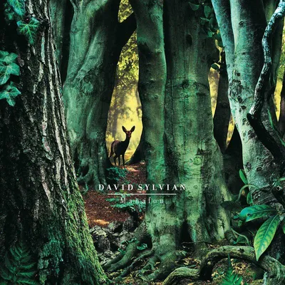 Produktbild von David Sylvian: David Sylvian - Manafon (180g) -   - (LP / M)