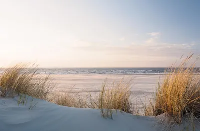 Produktbild von Wandbild DÜNEN, STRAND UND MEER 78x118 cm – Leinwandbild Keilrahmen Deko modern