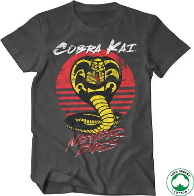 Produktbild von Cobra Kai Never Dies Organic T-Shirt - Small - DarkGrey