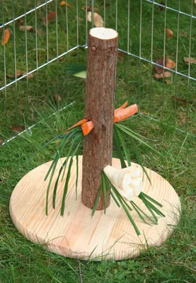 Immagine prodotto di Kerbl Futterbaum Nature für Nagetiere Kaninchen Spielzeug für Nager, H?he 30 cm