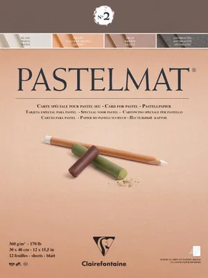 Immagine prodotto di Clairefontaine pastello testa incollata 12 fogli 30x40cm 4 colori assortiti. 96008C