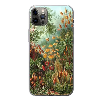 Produktbild von MuchoWow® Handyhülle Schutzhülle Hülle für iPhone 13 Pro Max Muscinae - Kunst - Alte Meister Silikon Softcase Handy Hülle - Mobiltelefon