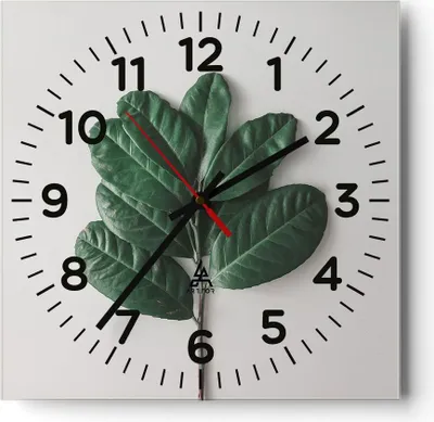Produktbild von Wanduhr - Quadrat - Glasuhr - Blätter Pflanzen Botanik - 40x40cm - Schleichendes Uhrwerk - Lautlos - zum Aufhängen bereit - Dekoration Modern - Wanddekoration aus Glas - C4AC40x40-4956