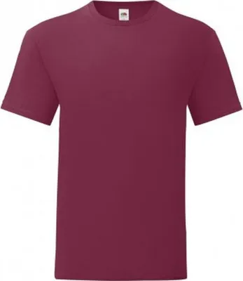 Produktbild von Fruit Of The Loom Herren T-Shirt Iconic (5 Stück/Packung) PC4369 (3XL) (Burgunder)