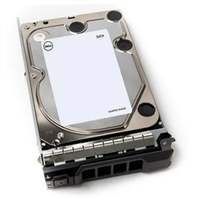 Image de DELL 400-AUWK Disque dur interne 3.5" 12 TB Serial ATA III