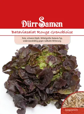 Produktbild von Bataviasalat Rouge Grenobloise | Bataviasalatsamen von Dürr Samen