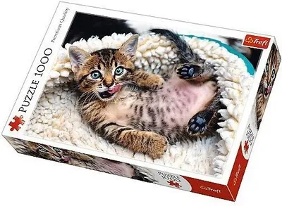 smile＊cat SMILE CAT