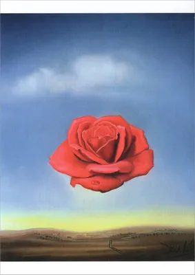 Produktbild von Kunstkarte Salvador Dalí "Meditative Rose"