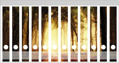 Produktbild von Wallario Ordnerrücken Sticker, selbstklebend für schmale Ordner, 12 Stück, Motiv Sonnenuntergang auf dem Waldweg