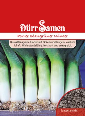 Artikelbild 1 von 'Porree Blaugrüner Winter' aus der Kategorie Lauchsamen