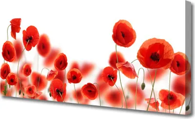 Produktbild von Tulup Leinwand-Bilder 125x50 Wandbild Canvas Kunstdruck Mohnblumen Pflanzen