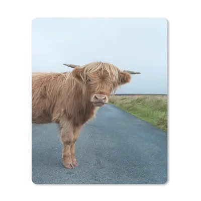 Produktbild von MuchoWow® Mauspad Mousepad Scottish Highlander - Straße - Gras 30x40 cm - Mousepads - Maus Mat - Pad - Mausunterlage - Mausmatten