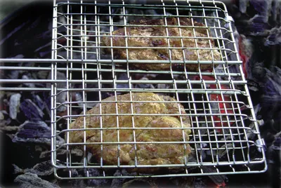 Produktbild von Coghlans Handgrill 'Broiler'