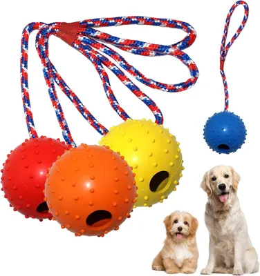 Produktbild von Pack von 4 Hundebällen mit Seil, Naturkautschuk, 5 cm, Gelb, Blau, Rot, Grün, für Zieh- und Wurfspiele