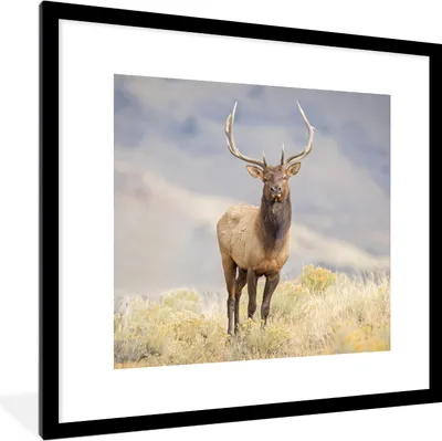 Produktbild von MuchoWow® Gerahmtes Poster Hirsche - Berge - Gras 40x40 cm - Poster mit Schwarzem Bilderrahmen Wandposter Rahmen Foto Bilder - Poster - Plakat im Rahmen