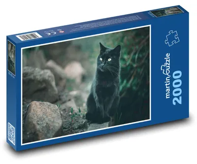 Obrázek produktu pro Puzzle 2000 Černá Kočka v Přírodě - martinpuzzle
