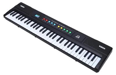 Obrázek produktu pro 61klávesové elektronické klávesy s 8 zvuky a 16 rytmy, nahrávání a přehrávání s mikrofonem, výukový režim, přenosné hudební klávesy pro začátečníky