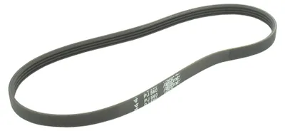 Productafbeelding van V-riem, elastisch, polyV, 4 tanden 560 x 9,36 mm zwart