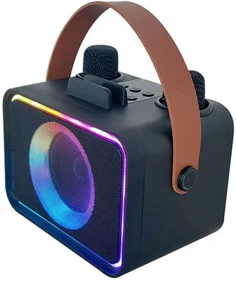 Obrázek produktu pro Přenosný Bluetooth reproduktor se 2 bezdrátovými mikrofony, LED osvětlením, pro dospělé i děti, černý.