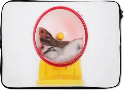 Produktbild von MuchoWow® Laptop Hülle 13 Zoll Hamster im Laufrad Laptoptasche - Laptophülle - Sleeve - Rundumschutz