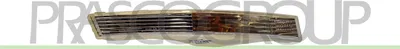 Produktbild von PRASCO VG0544323 Blinker Blinkleuchte vorne Rechts für VW Passat Variant (3C5) Passat Limousine (3C2)