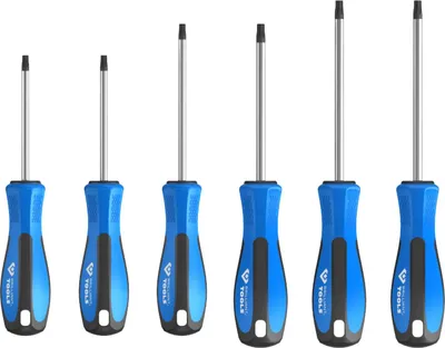 Image de BRILLIANT TOOLS Jeu de tournevis 6 pcs TORX - BT031010