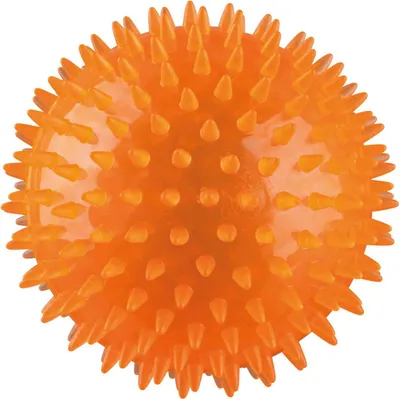 Immagine prodotto di Igelball, TPR ø 12 cm diverse