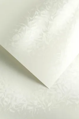 Obrázek produktu pro Galeria Papieru ozdobný papír Olympia bílá 220g, 20ks