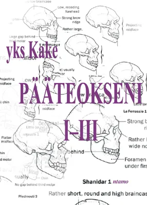 Produktbild von Pääteokseni I-III