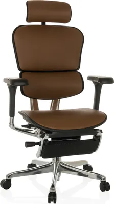 Produktbild von hjh OFFICE Luxus Chefsessel ERGOHUMAN PLUS LEGPRO GEN2 Ergonomischer Bürostuhl mit Armlehnen (höhenverstellbar) Leder Drehstuhl für Büro, Zuhause