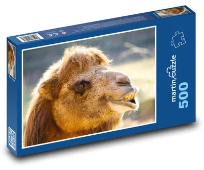 Zdjęcie produktu dla martinpuzzle - Puzzle 500 elementów - Wierzchowiec