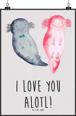 Produktbild von Mr. & Mrs. Panda Bild Axolotl Liebe DIN A1 - Grau Pastell - Geschenk, für Freundin, Wandbild, Valentinstag, wandkunst, wanddeko, Freund, Frauen, Plakat, Hochzeitstag