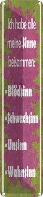 Produktbild von vianmo Blechschild 10x46 cm habe alle meine Sinne beisammen Spruch Zitat