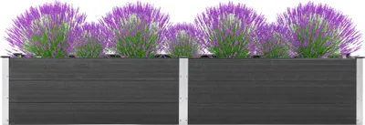 Produktbild von Cloris Designermöbel Garten-Hochbeet 200x50x54 cm WPC Grau 2024 Neu