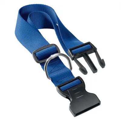 Produktbild von HundeHalsband Club 32 x 1 cm Nylon blau