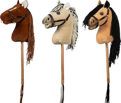 Three hobby horses on sticks, each with a different color and mane.