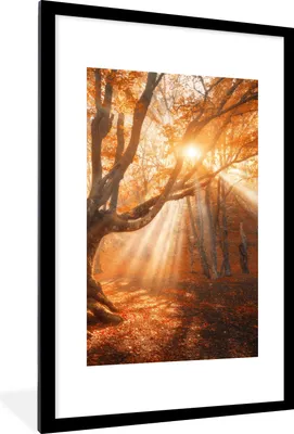 Produktbild von MuchoWow® Gerahmtes Poster Baum - Natur - Herbst 60x90 cm - Poster mit Schwarzem Bilderrahmen Wandposter Rahmen Foto Bilder - Dekoration - Wandposter Wohnzimmer - Hochwertig