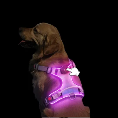 Produktbild von LED Hundegeschirr aufladbar reflektierend, verstellbar mit Griff, Brustgeschirr mit 3 Lichtmodi für kleine und mittelgroße Hunde, Farbe Lila Größe XL