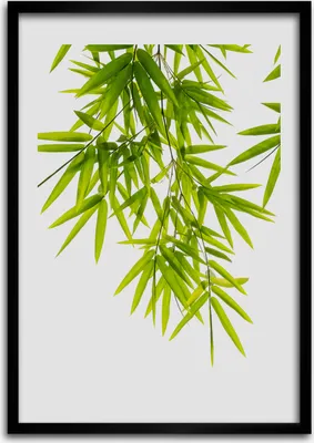 Produktbild von Bild - Bilderrahmen - 50 cm x 70 cm - MDF - Rahmen - Wandkunst Bambusblätter