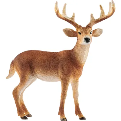 Produktbild von schleich WILD LIFE 14818, 3 Jahr(e), Forest, Wild animals / adventure toys, Mehrfarbig, Kunststoff, 1 Stück(e)